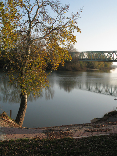 bac à traille de Sylvéréal