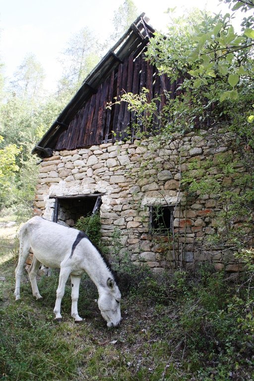 Entrepôt agricole