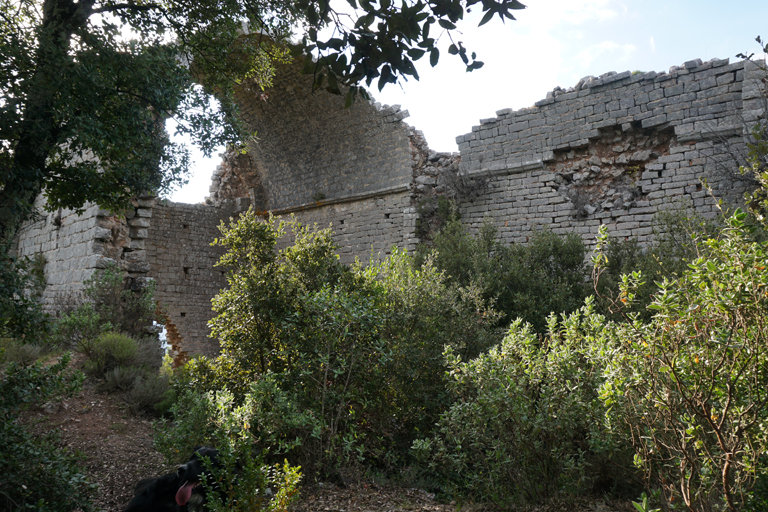 Vue sud de la nef, chapelle Saint-Pierre.