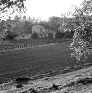 Ferme