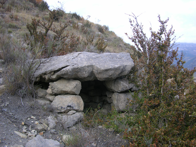 cabane