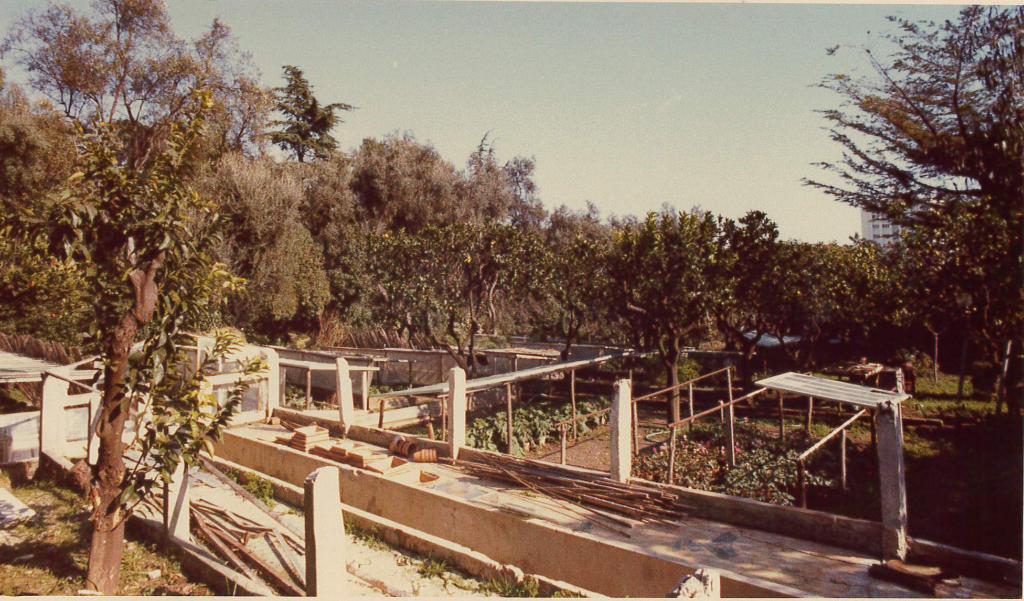 jardin d'agrément de la Villa Grimaldi dite aussi Villa Sainte-Anne, Château Sainte-Anne ou Hermitage, actuellement jardin des Résidences Château Sainte-Anne