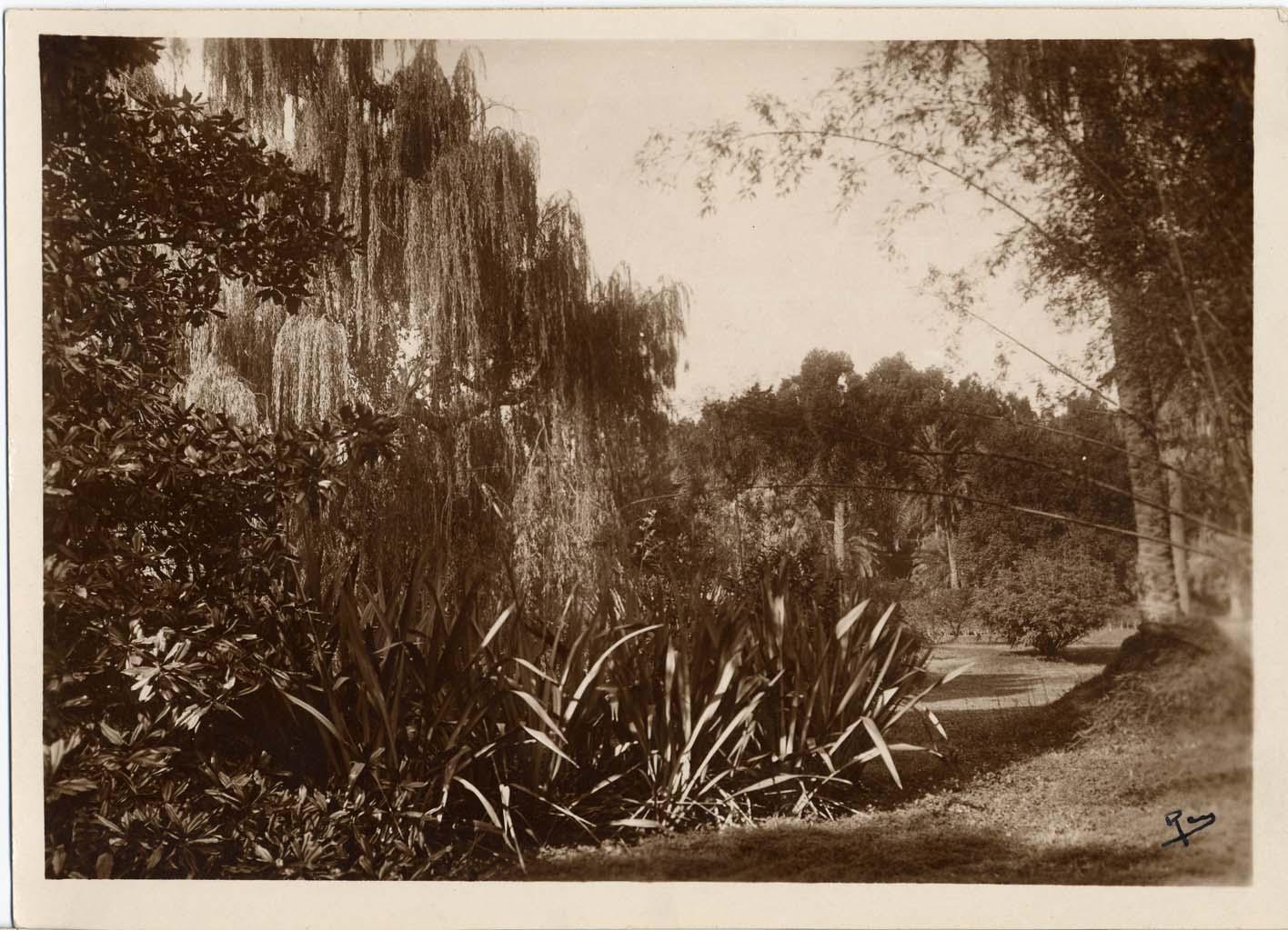 jardin d'agrément jardin de la Villa Eléonore-Louise