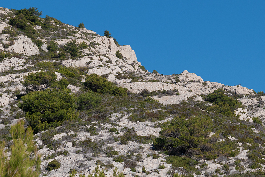Vue extérieure du revêtement de l'épaulement de la batterie du Four de Caux