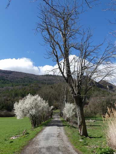 Allée, vue prise de l'est.