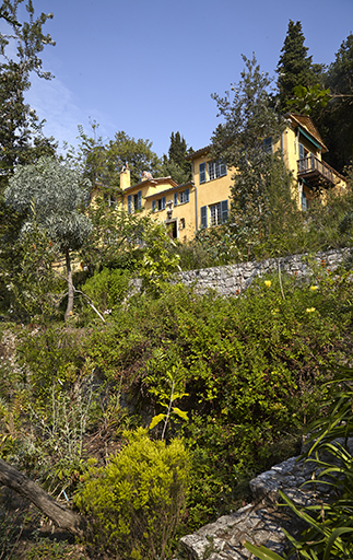 Terrasses supérieures (vue des terrasses plantées de proteacées).