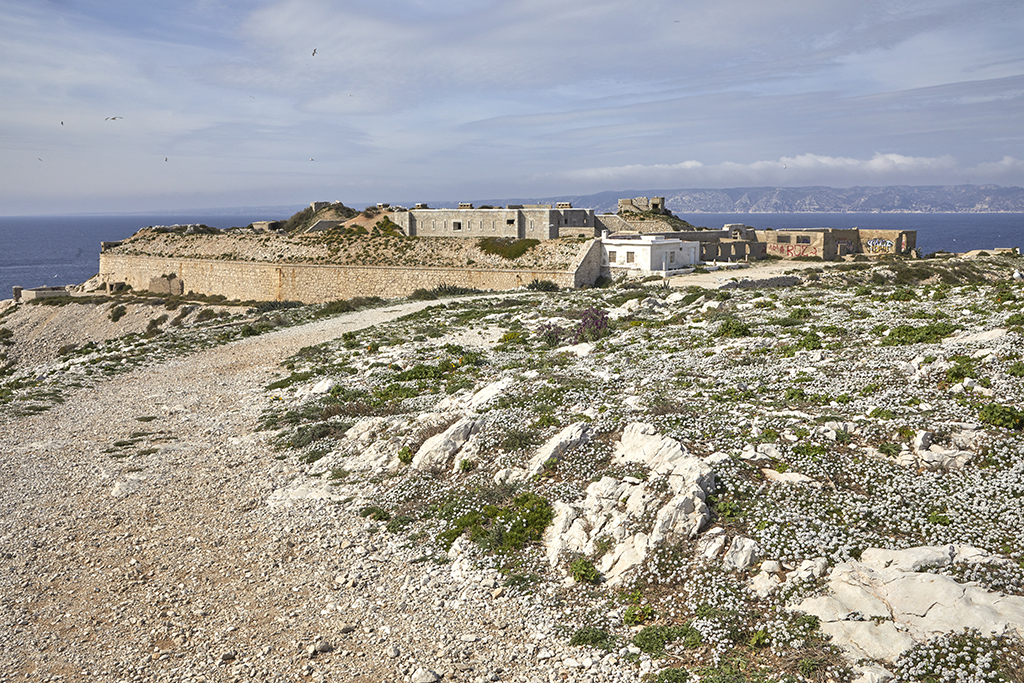 Vue générale de la batterie  prise du chemin d'accès, au sud-est 