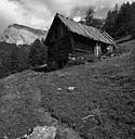 ferme (chalet d'estive)