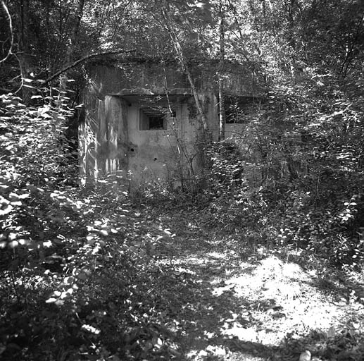 Casemate du Suquet (Lantosque). Vue prise de l'avant. A gauche, créneau du canon antichar. A droite, créneau de la mitrailleuse.