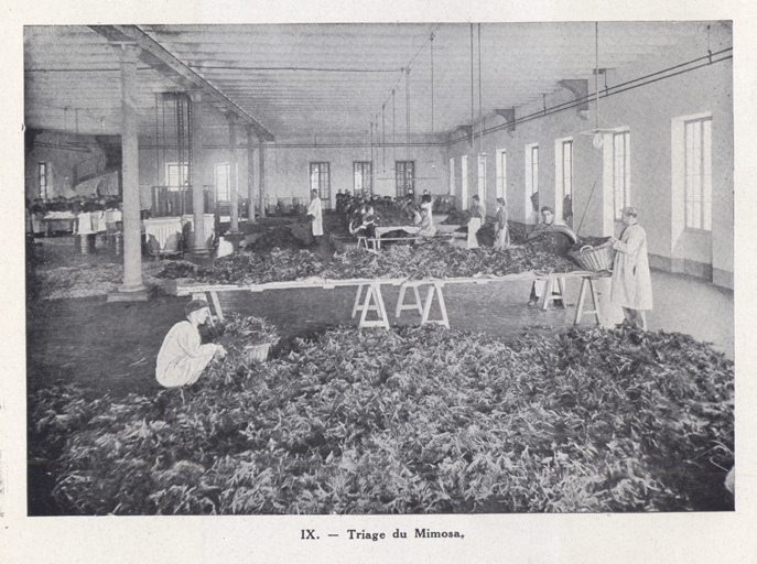 bâtiment conventuel, puis parfumerie Roure-Bertrand, actuellement immeuble de bureaux