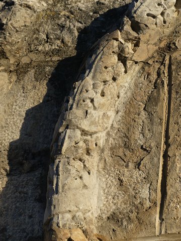 Face sud, détail du décor : guirlande de feuilles de chêne enrubannées.