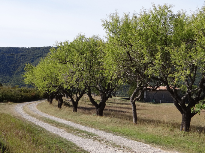 présentation de la commune de La Palud-sur-Verdon