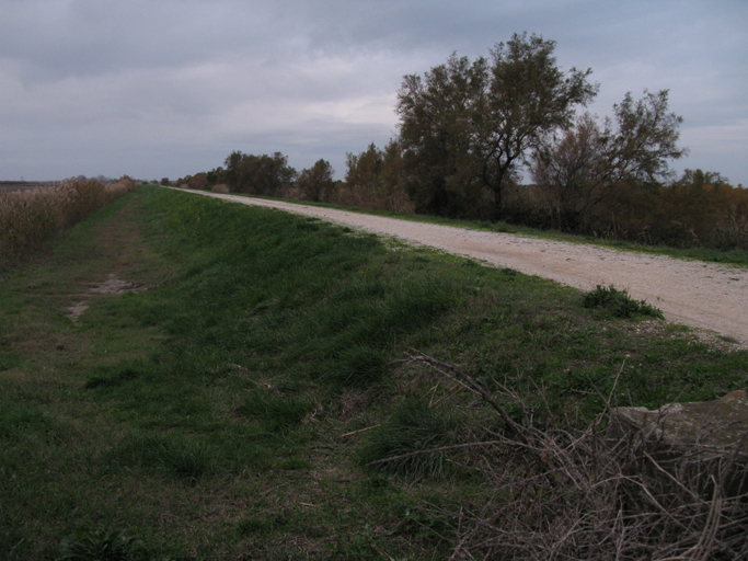 les aménagements du Rhône : barrages, centrales hydroélectriques, écluses et maisons éclusières, ports et haltes fluviales, quais, promenades et appontements, tours-vigie, chantiers navals,  entrepôts maritimes, digues, chemins et relais de halage