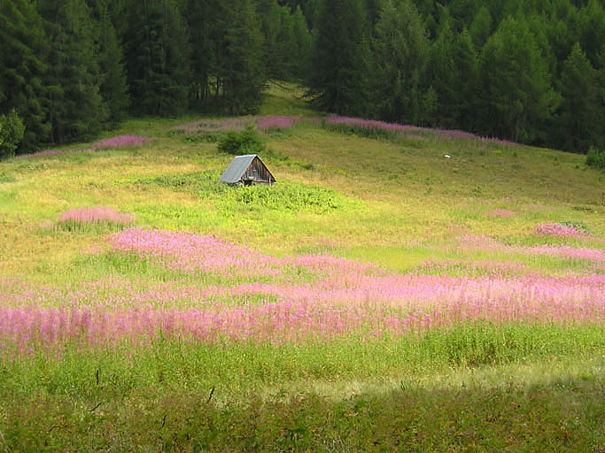 entrepôts agricoles, cabanes (cabanes d'alpage, cabanes pastorales, cabanes forestières), bergeries