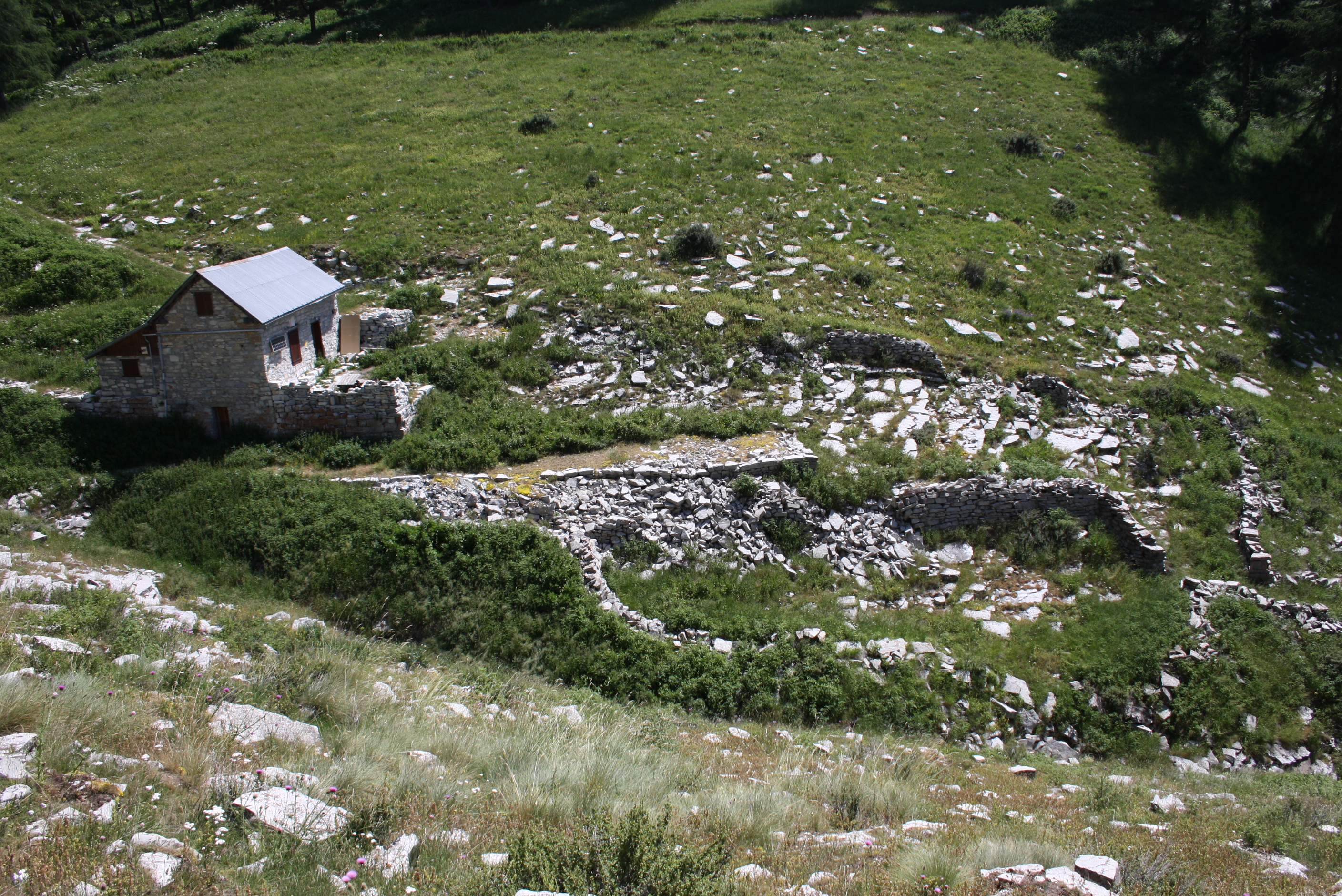 Ensemble pastoral dit cabane de l'Orgéas (Thorame-Haute). Vue de situation avec enclos au premier plan.