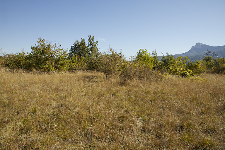 hameau de forestage de Harkis de Sisteron