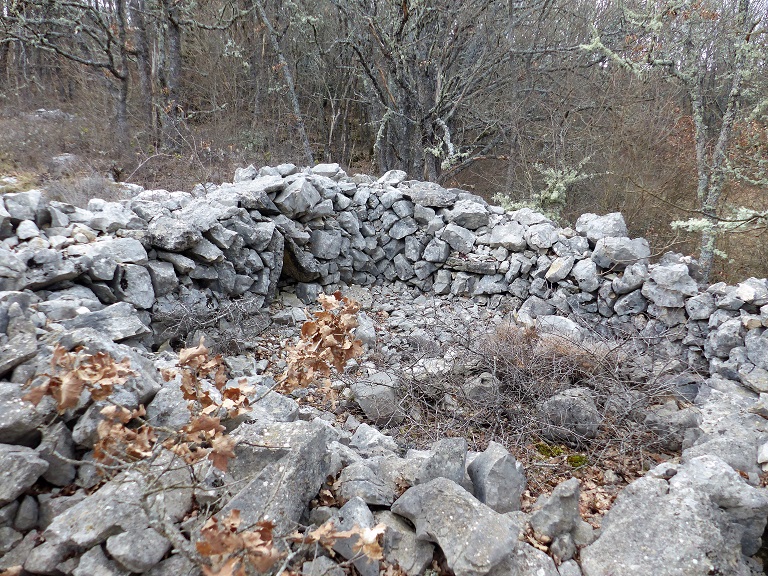 Cabane des Pouis (1841 E5 441). Vestiges de la maçonnerie en pierre sèche. 