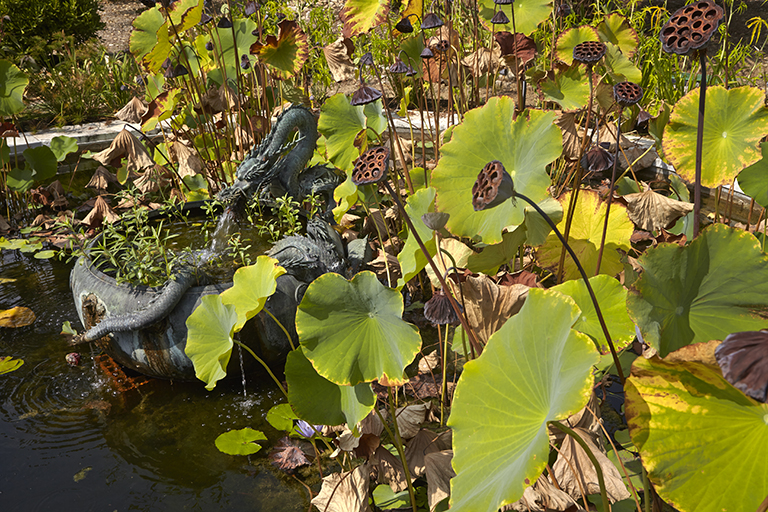 Jardin supérieur : bassin avec la vasque au dragon et les lotus.