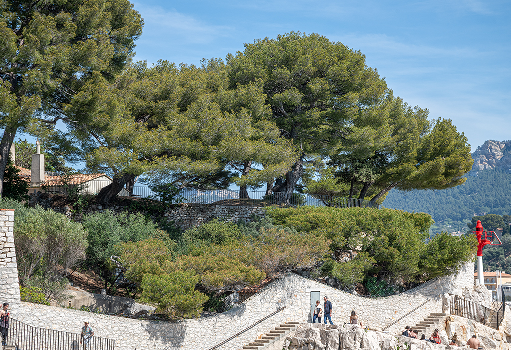 Vue extérieure de l'ancien épaulement prise du sud-ouest