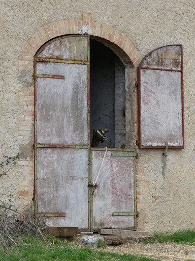 Bâtiment agricole disjoint nord. Pignon est, premier niveau. Porte.