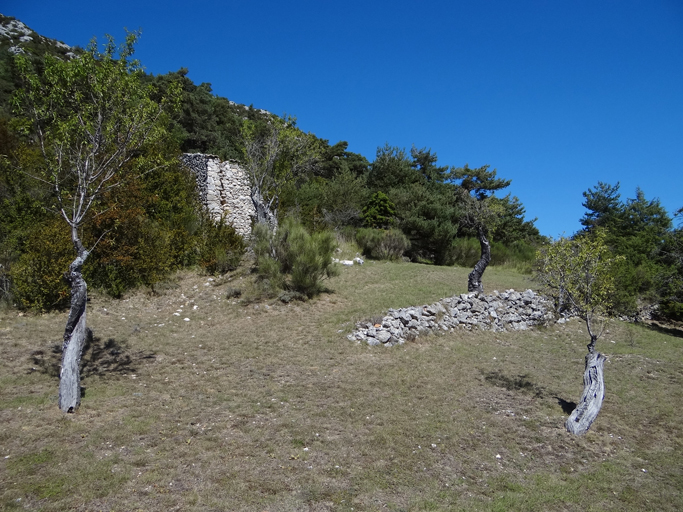 présentation de la commune de La Palud-sur-Verdon