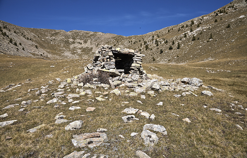 Abri de berger en élévation (pâture de la Sellanche, Beauvezer).