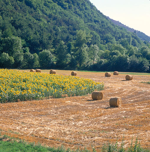 présentation de la commune de Villar-d'Arêne