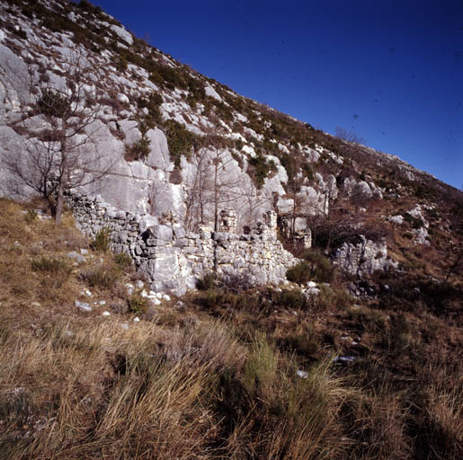 Bergerie