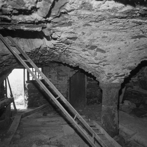 L'écurie. Vue intérieure prise du mur-gouttereau nord vers l'entrée.