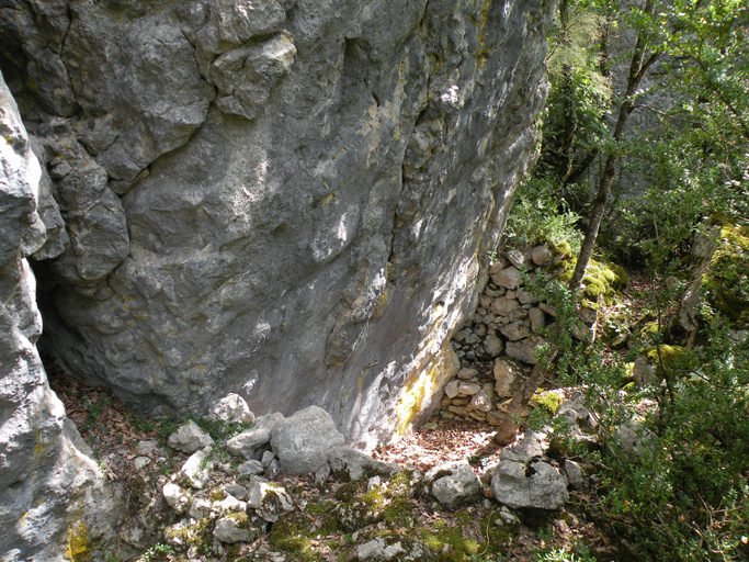 cabane de cultivateur