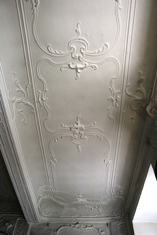 Castellane. Château d'Eoulx. Salon au premier étage carré. Décor de gypserie du plafond.