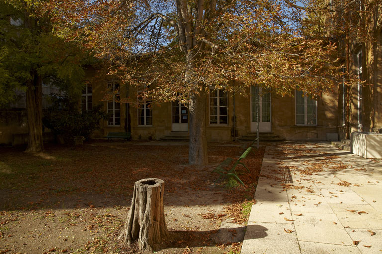 Hôtel de Réauville, puis de La Tour-d'Aigues, puis de Caumont, actuellement conservatoire de musique