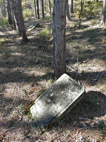 ensemble de tombeaux (stèles de protestants), dit Cimetière de Raton