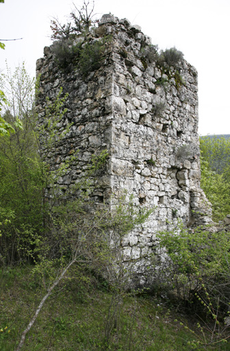 édifice fortifié (?) : tour des Templiers