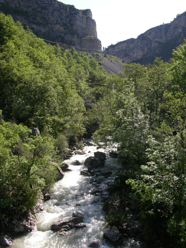 présentation de la commune de Saint-Julien-du-Verdon