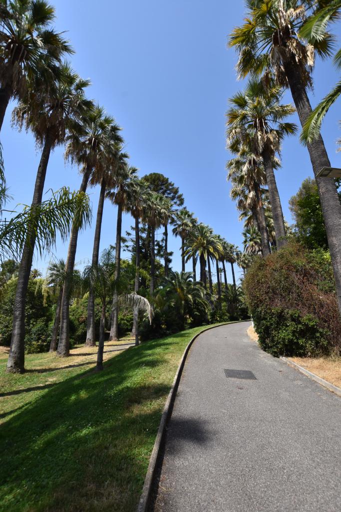 jardin d'agrément de la villa L'Africaine, actuellement parc de l'Indochine et jardin des Résidences Château Sainte-Anne