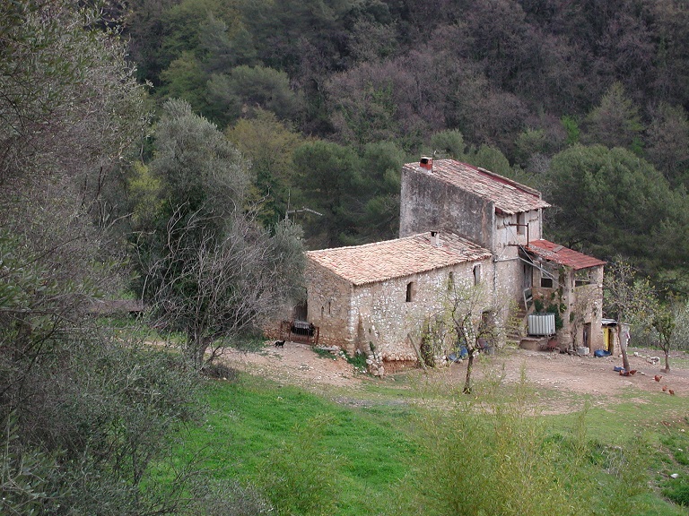 Ferme de la Thuilière (1833 C 10). Vue d'ensemble prise de l'ouest.