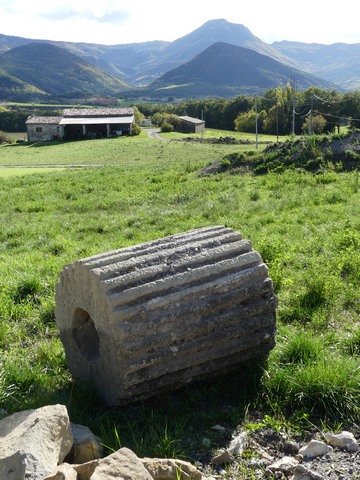rouleau dépiqueur