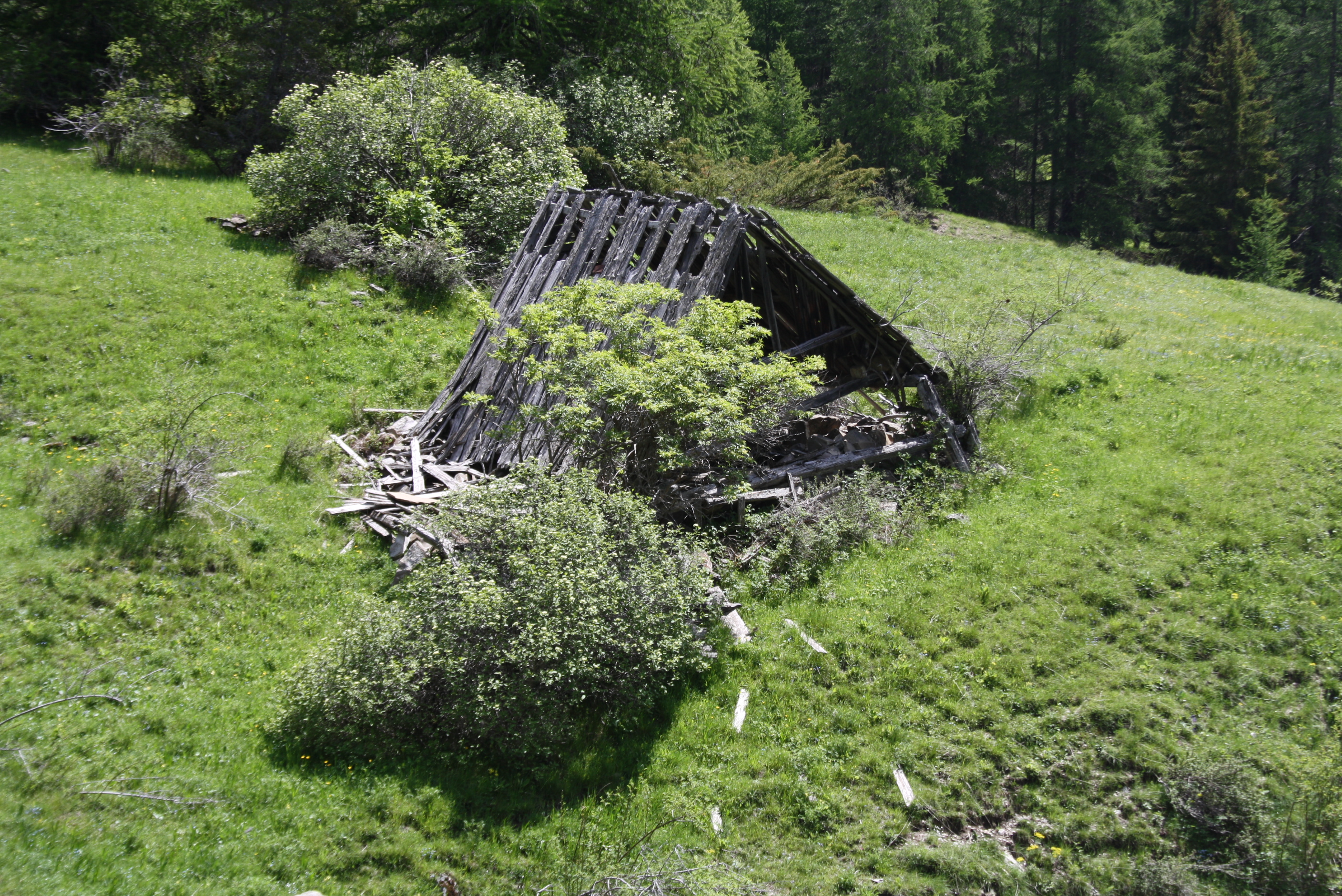 Entrepôt agricole ou cabane ruiné en face du plateau de la Réourié, de l'autre côté du ravin de Chasse. La charpente indépendante et le toit en mélèze ont mieux résisté que la maçonnerie.