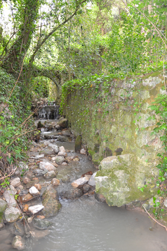 scierie, moulin à ressence et à huile