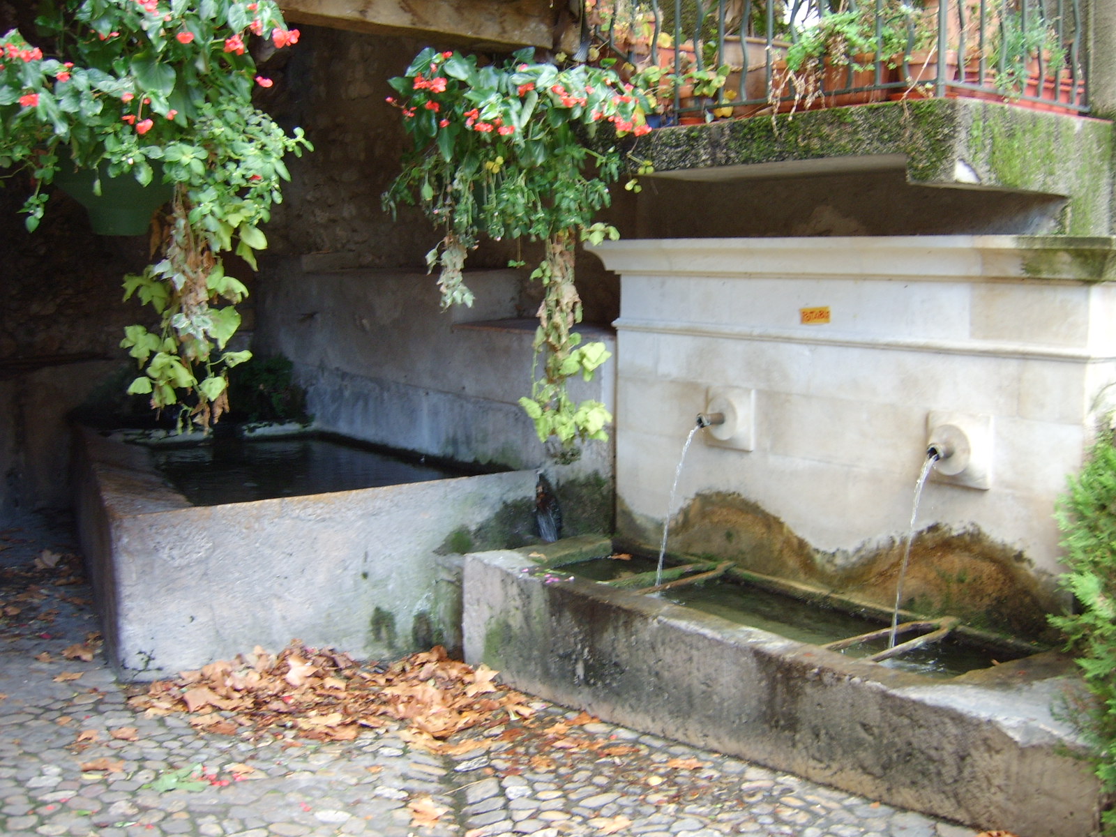 fontaine dite fontaine Dinde