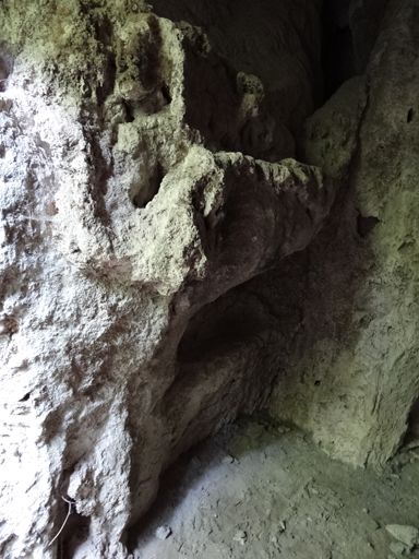 Grotte M. Paroi ouest, niches creusées.