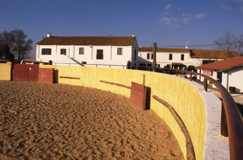 Intérieur des arènes.