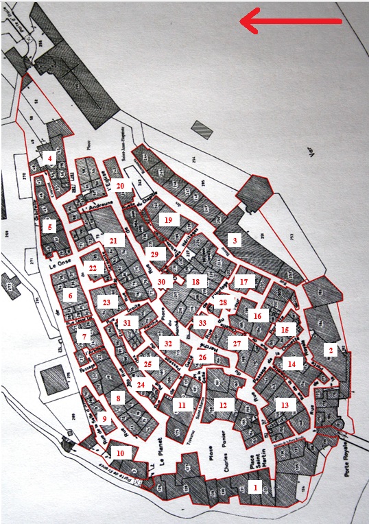 Répartition des îlots dans le bourg d'Entrevaux (d'après le plan figuré du cadastre de 2006).