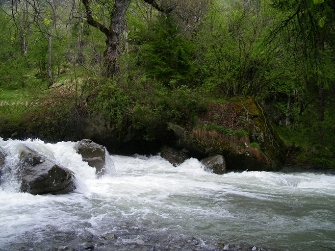 moulin à farine