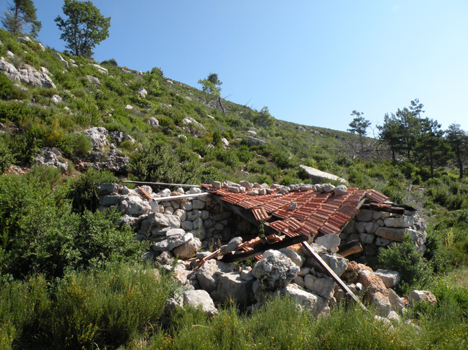 cabane de berger