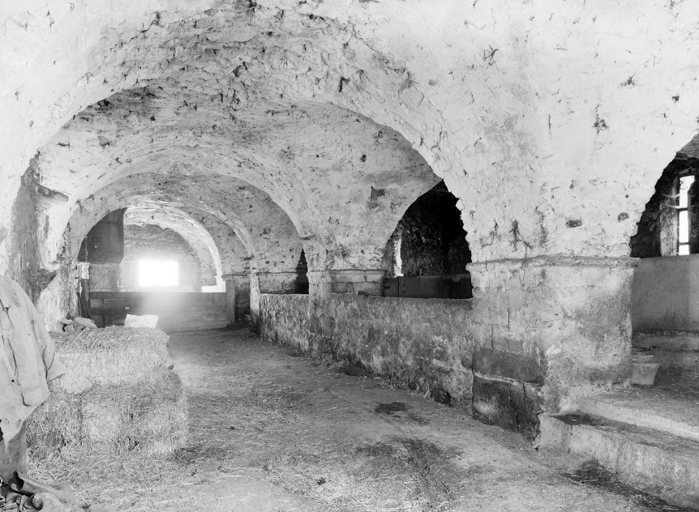 Grande écurie, vue en enfilade.