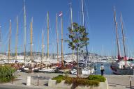 Bateaux traditionnels amarrés au quai Saint-Pierre, port de Cannes.