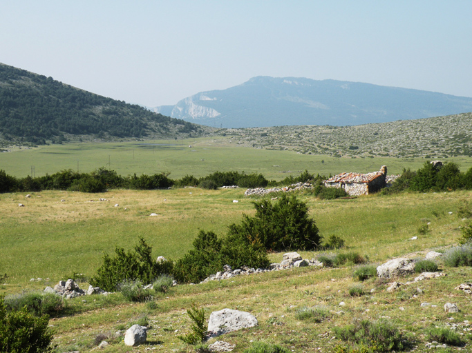 entrepôt agricole