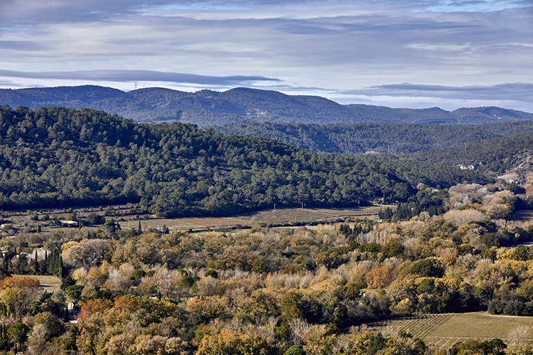 présentation de la commune de Vidauban